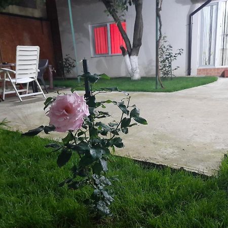Cazare La Mare Patrascu Διαμέρισμα Κονστάντζα Εξωτερικό φωτογραφία