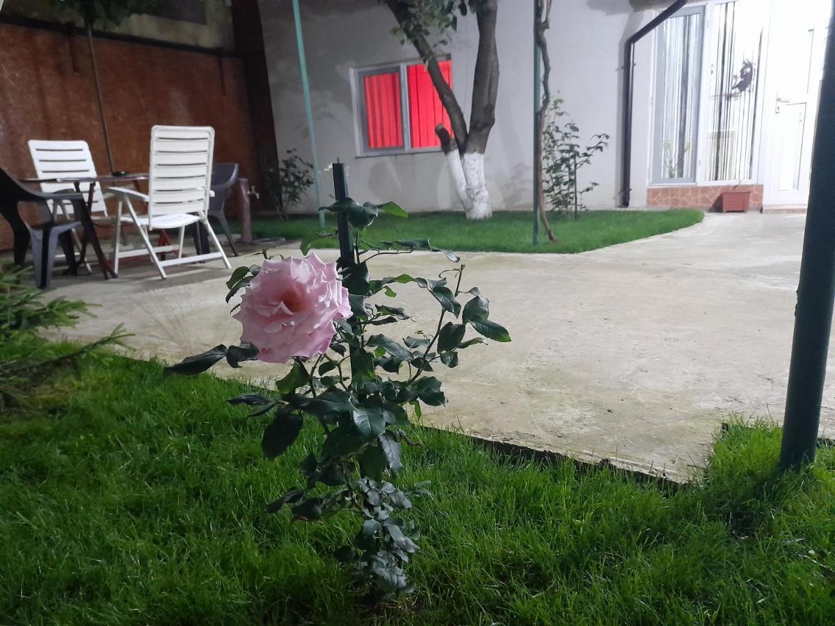 Cazare La Mare Patrascu Διαμέρισμα Κονστάντζα Εξωτερικό φωτογραφία